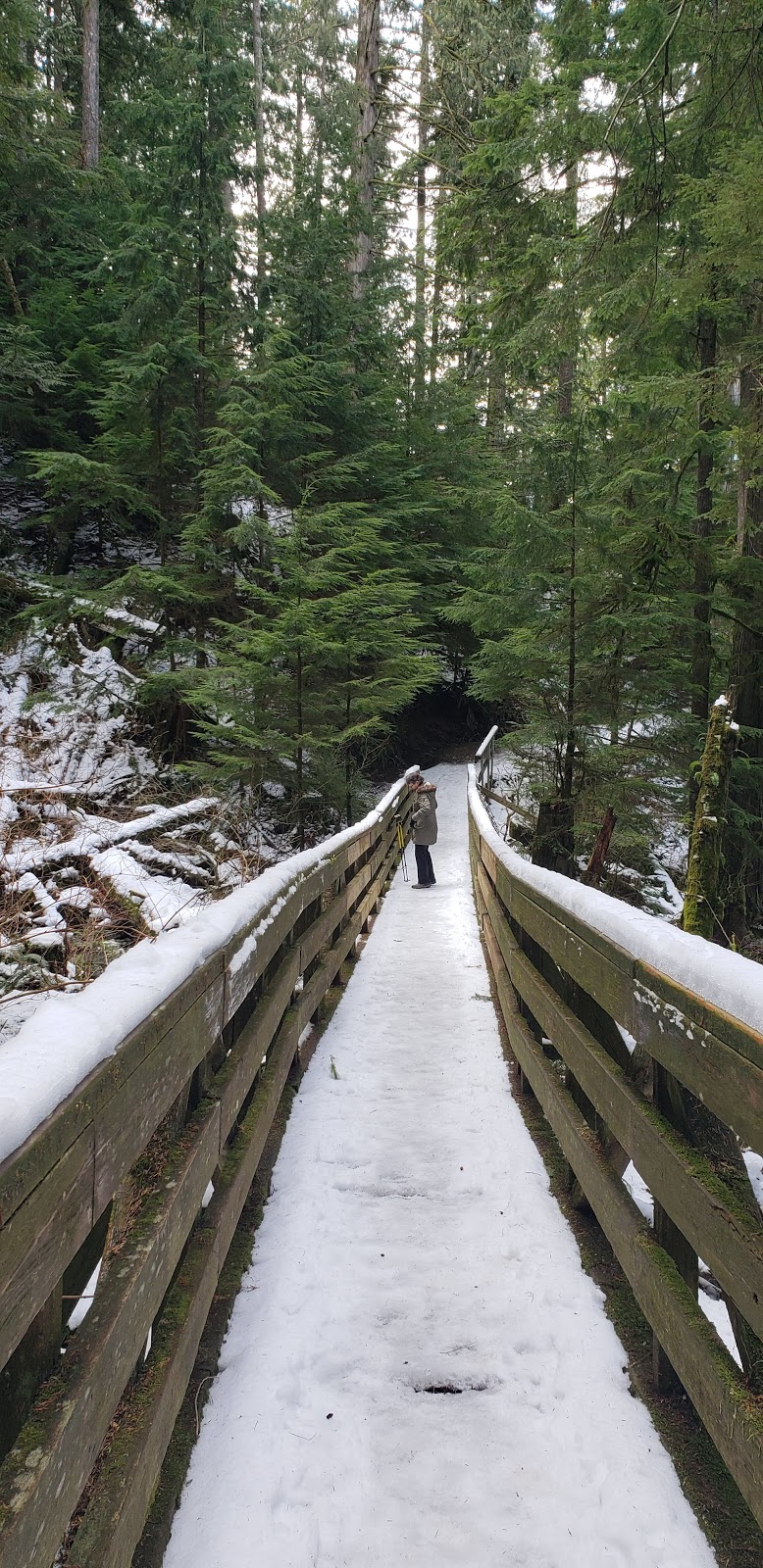 Hayward Lake Reservoir Trail. | 31170 Dewdney Trunk Rd, Mission, BC V4S 1C4, Canada