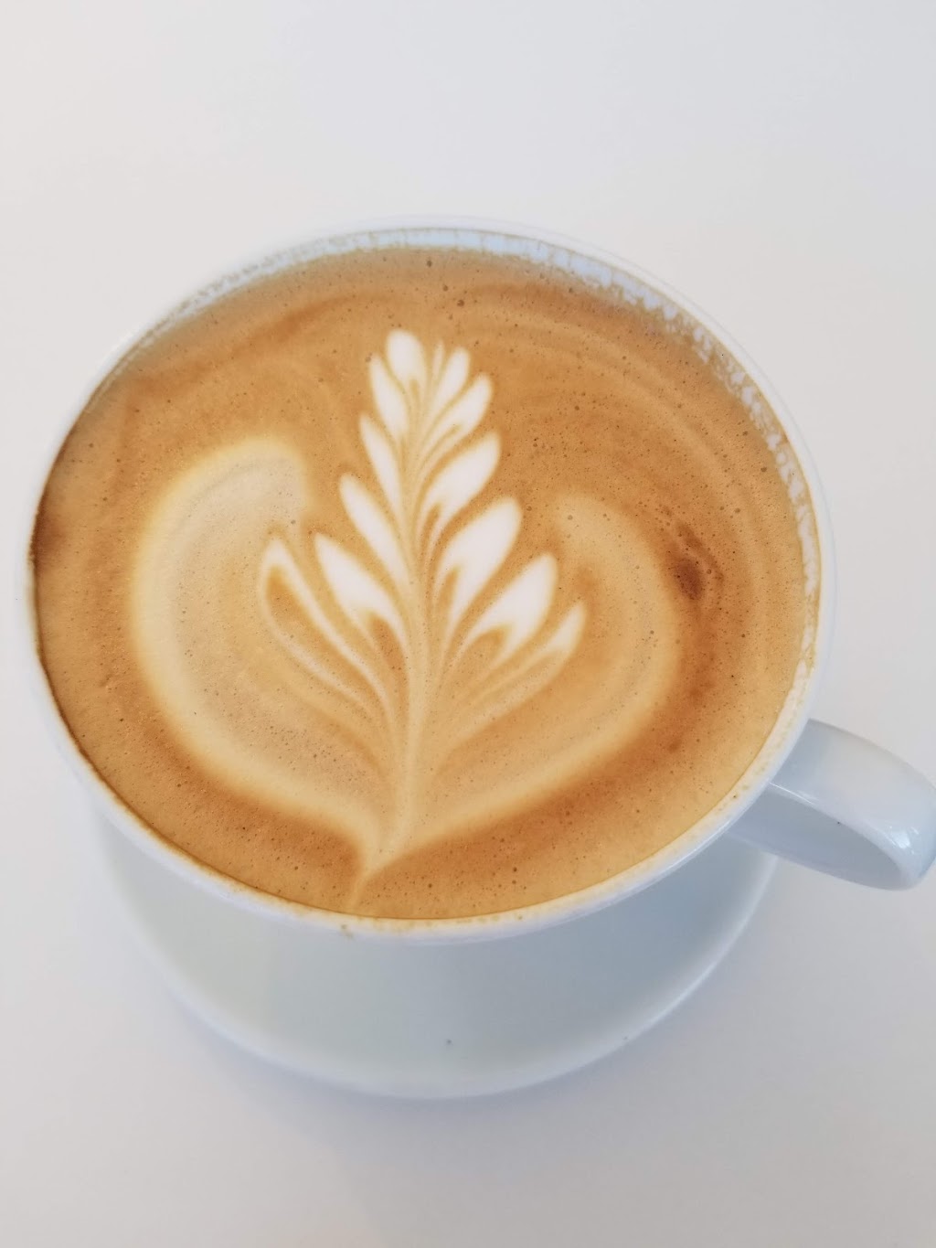 Pavia Gallery - Espresso Bar & Café | 995 Herring Cove Rd, Herring Cove, NS B3V 1H6, Canada | Phone: (902) 407-4008