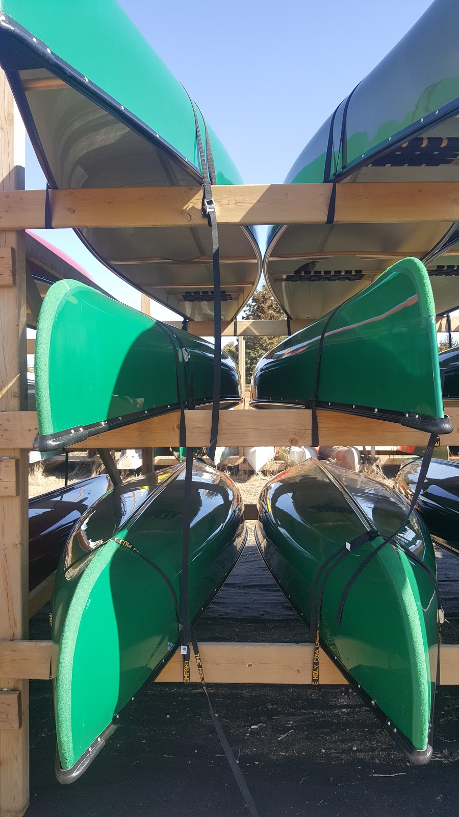 The Holy Cow Canoe Company | 7890 ON-7, Guelph, ON N0B, Canada | Phone: (519) 853-9729