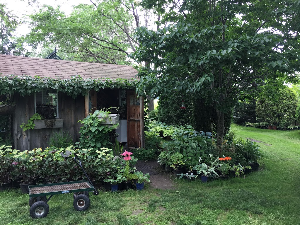 Olde Towne Gardens | 716 Lakeshore Rd, Niagara-on-the-Lake, ON L0S 1J0, Canada | Phone: (905) 937-6758