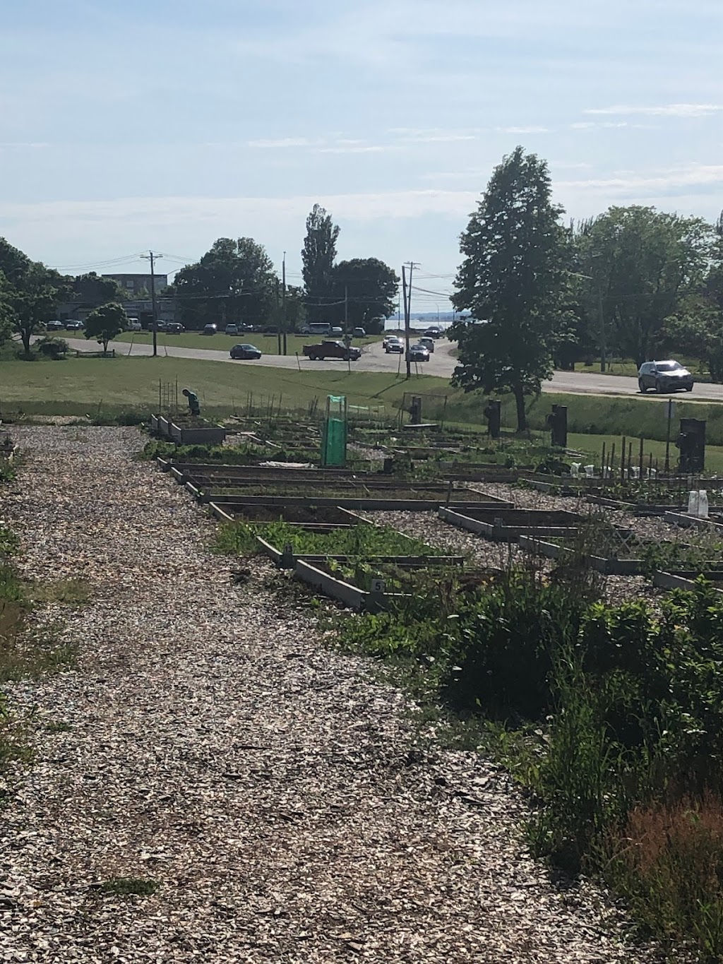 Stratford Community Gardens | 234 Shakespeare Dr, Stratford, PE C1B 1T8, Canada | Phone: (902) 367-3605