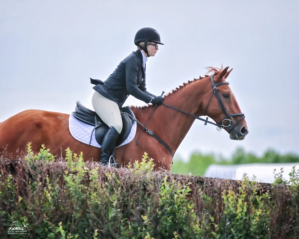 Benchmark Equestrian | 226039 88 St E, De Winton, AB T0L 0X0, Canada | Phone: (403) 397-0680