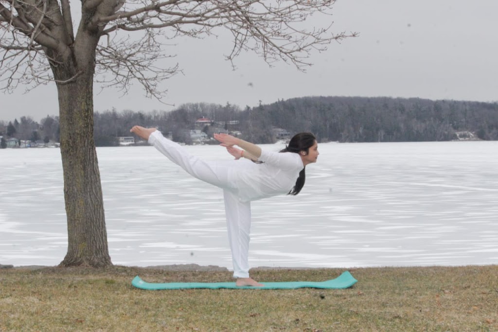 Vir Yoga and Vedic Diet | 224 Rogers St, Peterborough, ON K9H 1W3, Canada | Phone: (249) 688-0204
