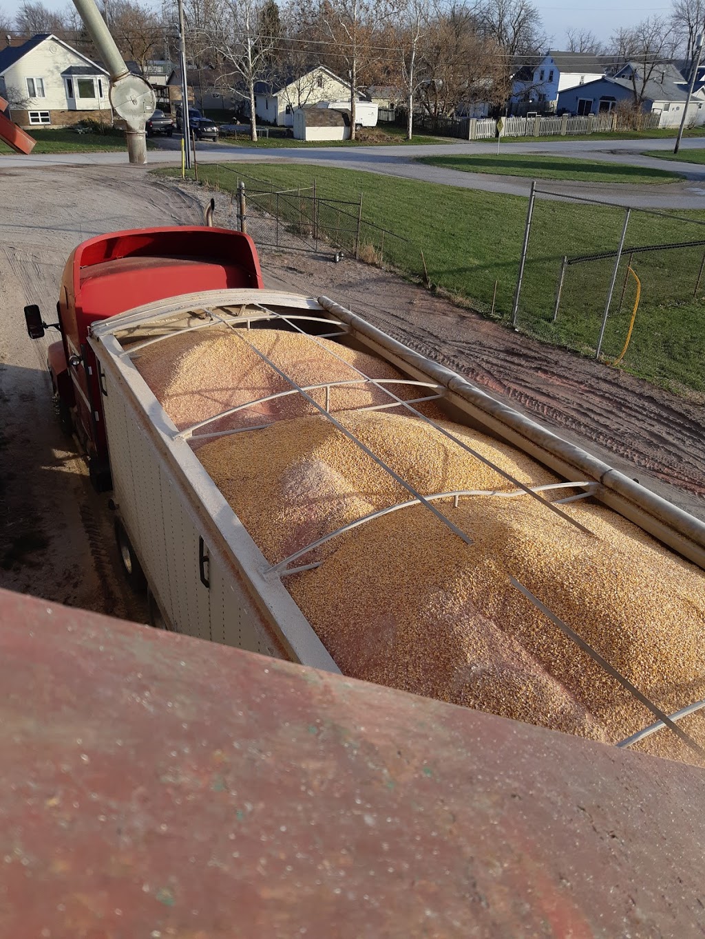 AGRIS Co-operative Ltd. | 2352 Jane St, Brigden, ON N0N 1B0, Canada | Phone: (519) 864-1011