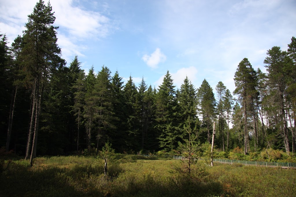 Pacific Spirit Regional Park | 5495 Chancellor Blvd, Vancouver, BC V6T 1E4, Canada | Phone: (604) 224-5739
