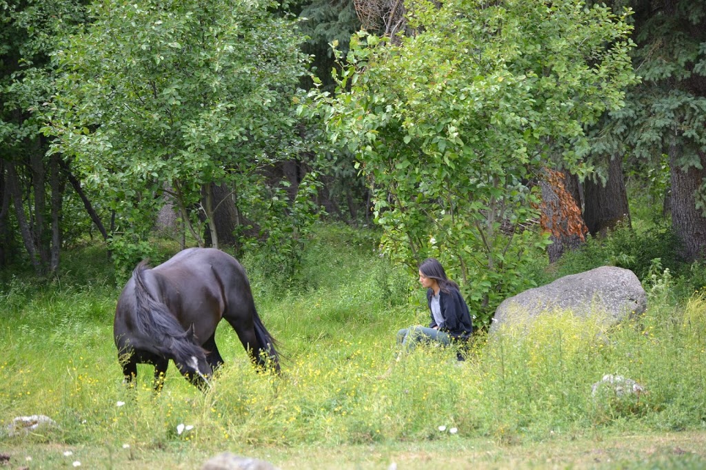 Tod Mountain Cabins | 3968 Heffley Louis Creek Rd, Heffley Creek, BC V0E 1Z1, Canada | Phone: (250) 578-0226