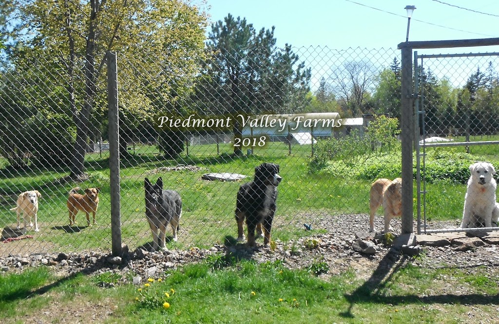 Piedmont Valley Farms | 2063 Piedmont Valley Rd, Merigomish, NS B0K 1G0, Canada | Phone: (902) 926-2634