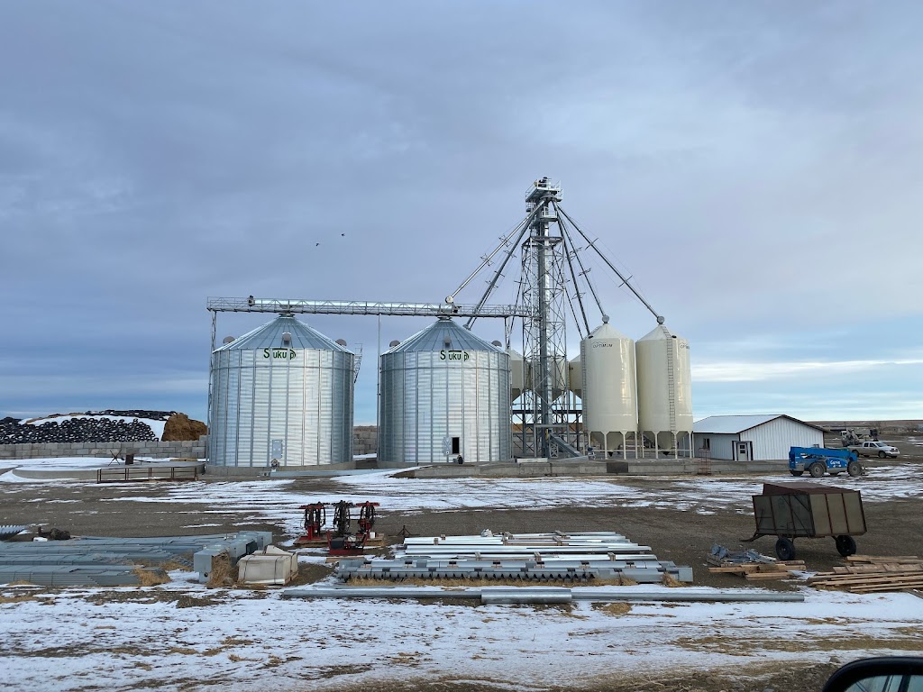 Thompson Colony Feedlot | Willow Creek No. 26, AB T0K 2R0, Canada | Phone: (403) 359-3447