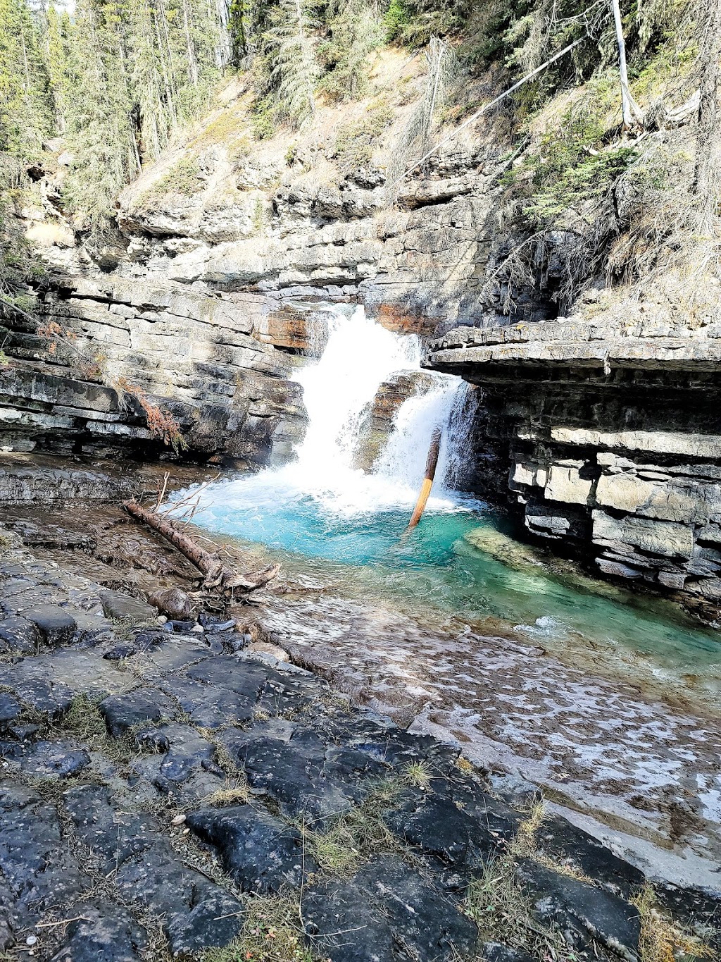 Johnstone Creek Provincial Park | Johnstone Creek Camp Rd, Rock Creek, BC V0H 1Y0, Canada | Phone: (250) 584-9025