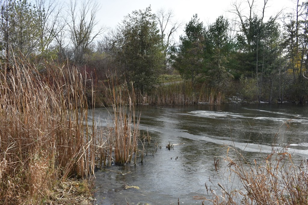 Spruce Park | Bronte, Oakville, ON L6L, Canada