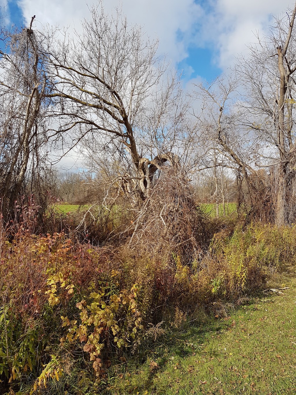 Warwick Conservation Area | 6101 Warwick Village Rd, Watford, ON N0M 2S0, Canada | Phone: (519) 849-6770