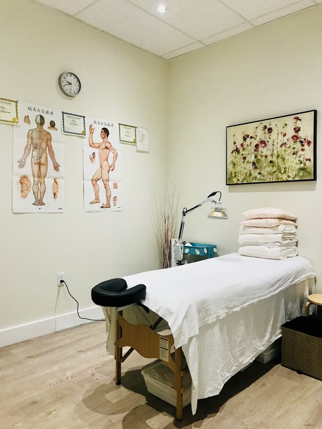 Shuyi Acupunture | 112-7727 Royal Oak Ave, Burnaby, BC V5J 4K2, Canada | Phone: (778) 882-0914