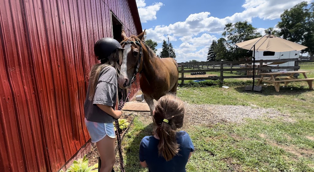 Peaceful Place Equestrian & Wellness Facility Inc. | 687399 Oxford 2, Princeton, ON N0J 1V0, Canada | Phone: (226) 388-4225