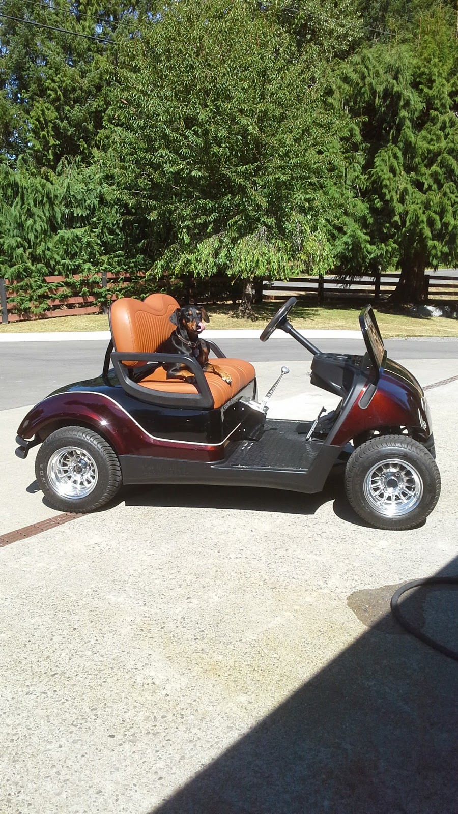 Pro-Craft Restorations | 3960 Vaux Rd, Duncan, BC V9L 6S7, Canada | Phone: (250) 748-7882