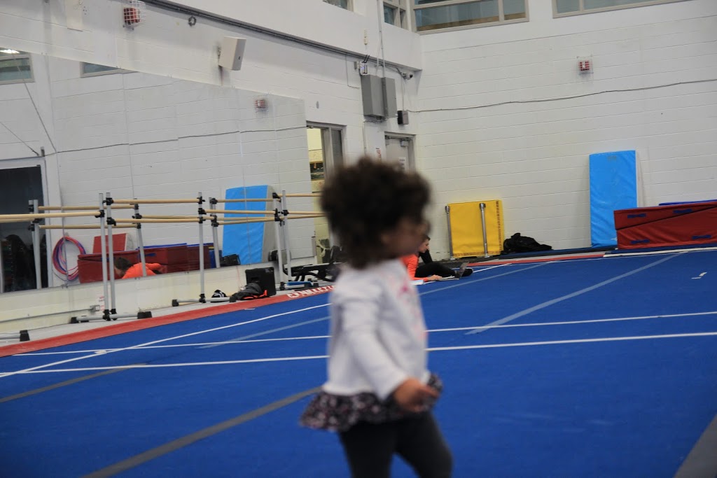 Gymnastics Mississauga | 5600 Rose Cherry Pl, Mississauga, ON L4Z 4B6, Canada | Phone: (905) 270-6161