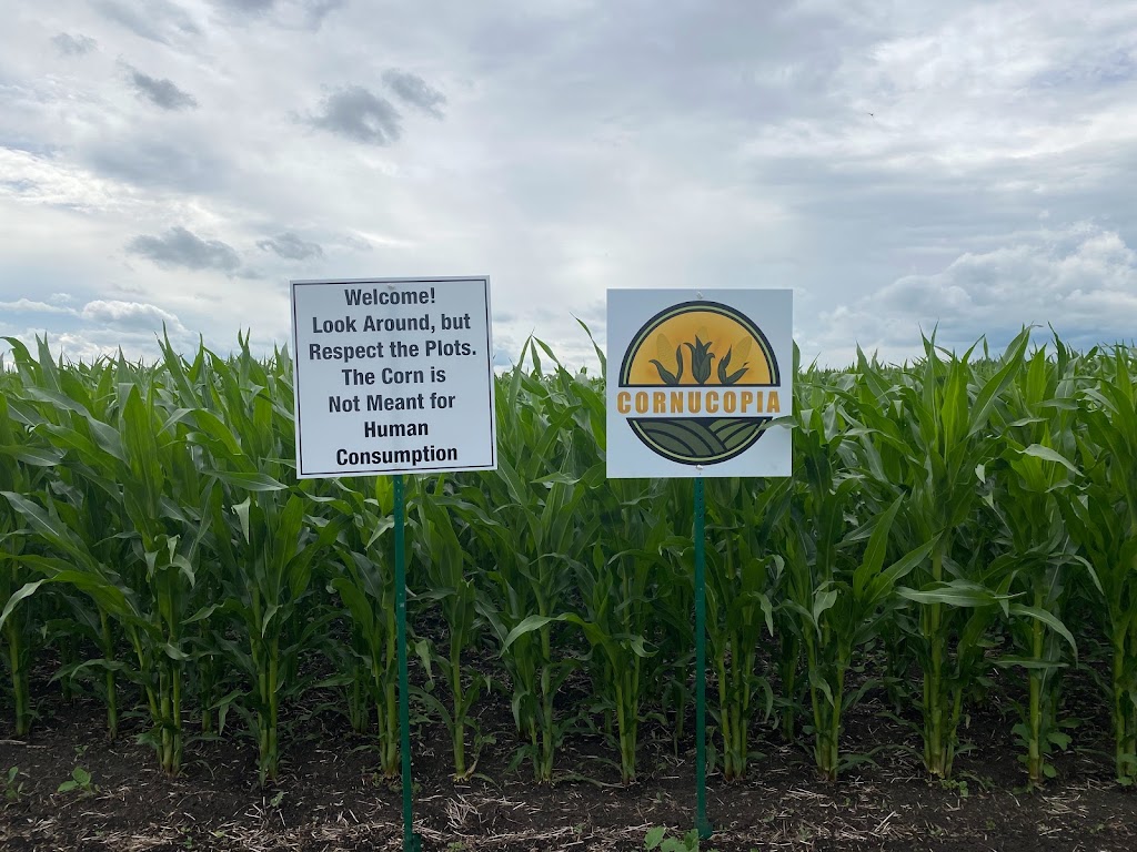 CORNUCOPIA 2022 | Range Rd 262, Ponoka, AB T4J 1R4, Canada | Phone: (403) 302-8818