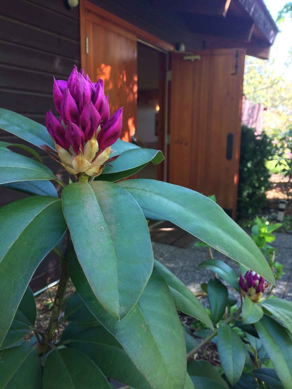Linden Gardens and the Frog City Café | 351 Linden Ave, Kaleden, BC V0H 1K0, Canada | Phone: (250) 497-6600
