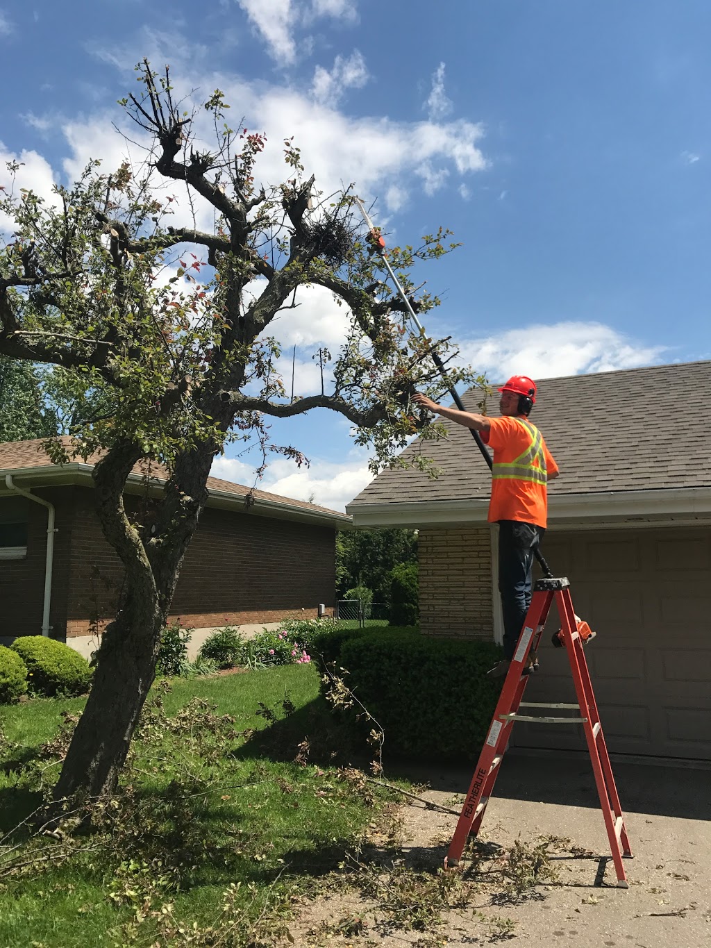 Summit Tree Service | 6709 Glendon Dr, Melbourne, ON N0L 1T0, Canada | Phone: (519) 868-0140