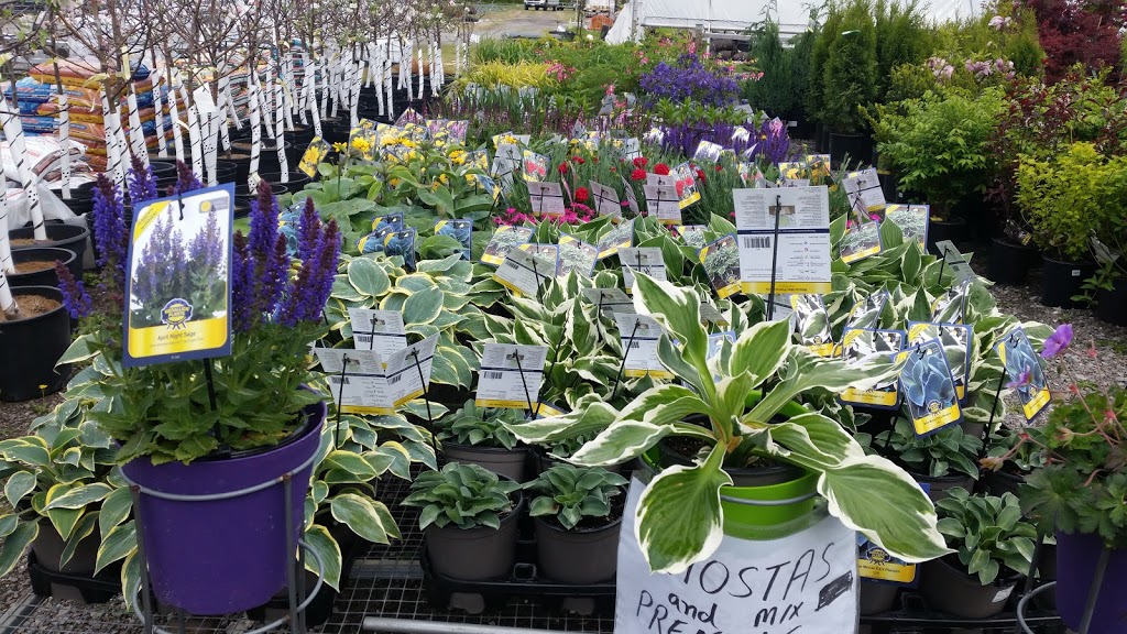 Floral Dimensions | 906 Hwy 20 W, Fenwick, ON L0S 1C0, Canada | Phone: (905) 892-4947