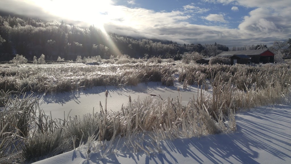 Yarrow Ecovillage | 42312 Yarrow Central Rd, Chilliwack, BC V2R 5E2, Canada | Phone: (604) 823-0232