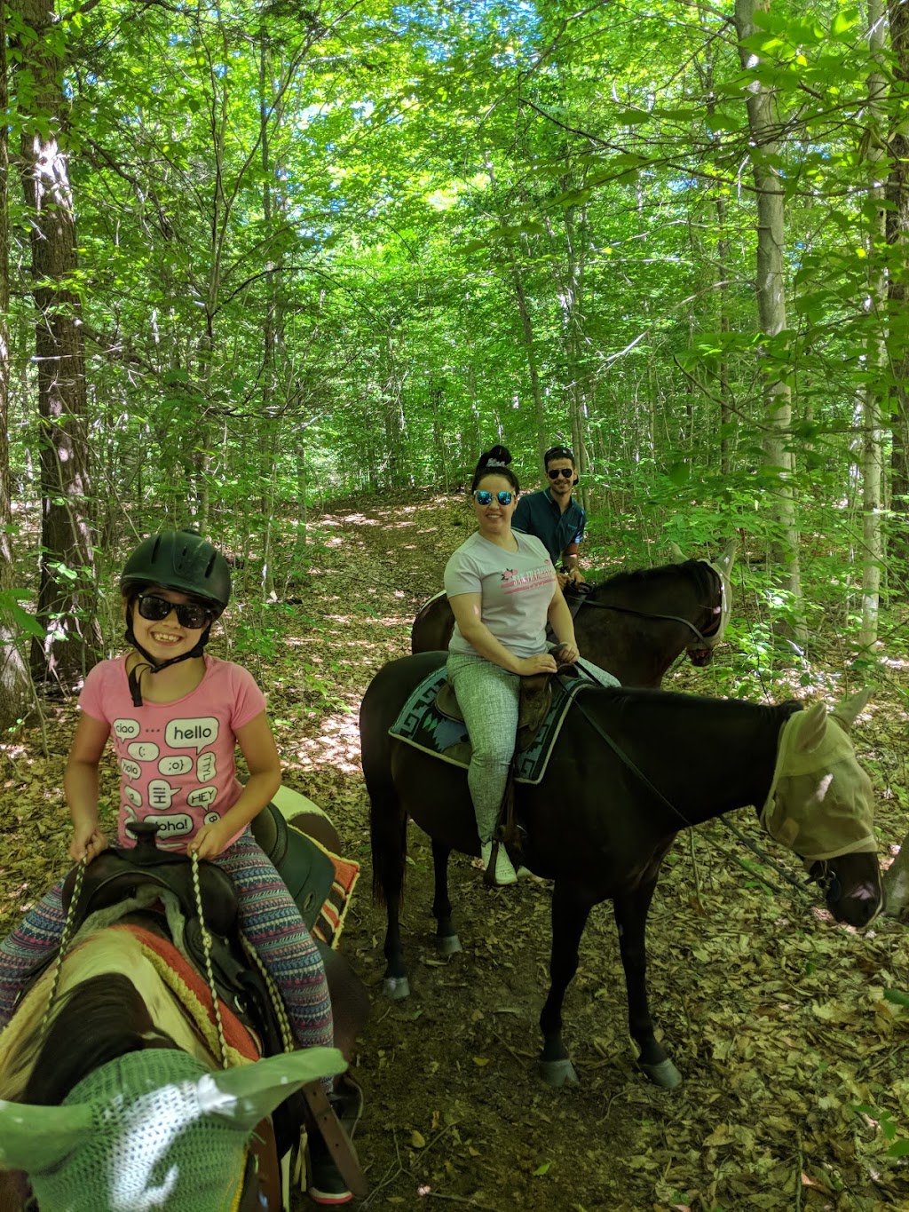 Ranch Liberté | 324 Côte Saint-Jean, Saint-Roch-de-Richelieu, QC J0L 2M0, Canada | Phone: (450) 743-9444