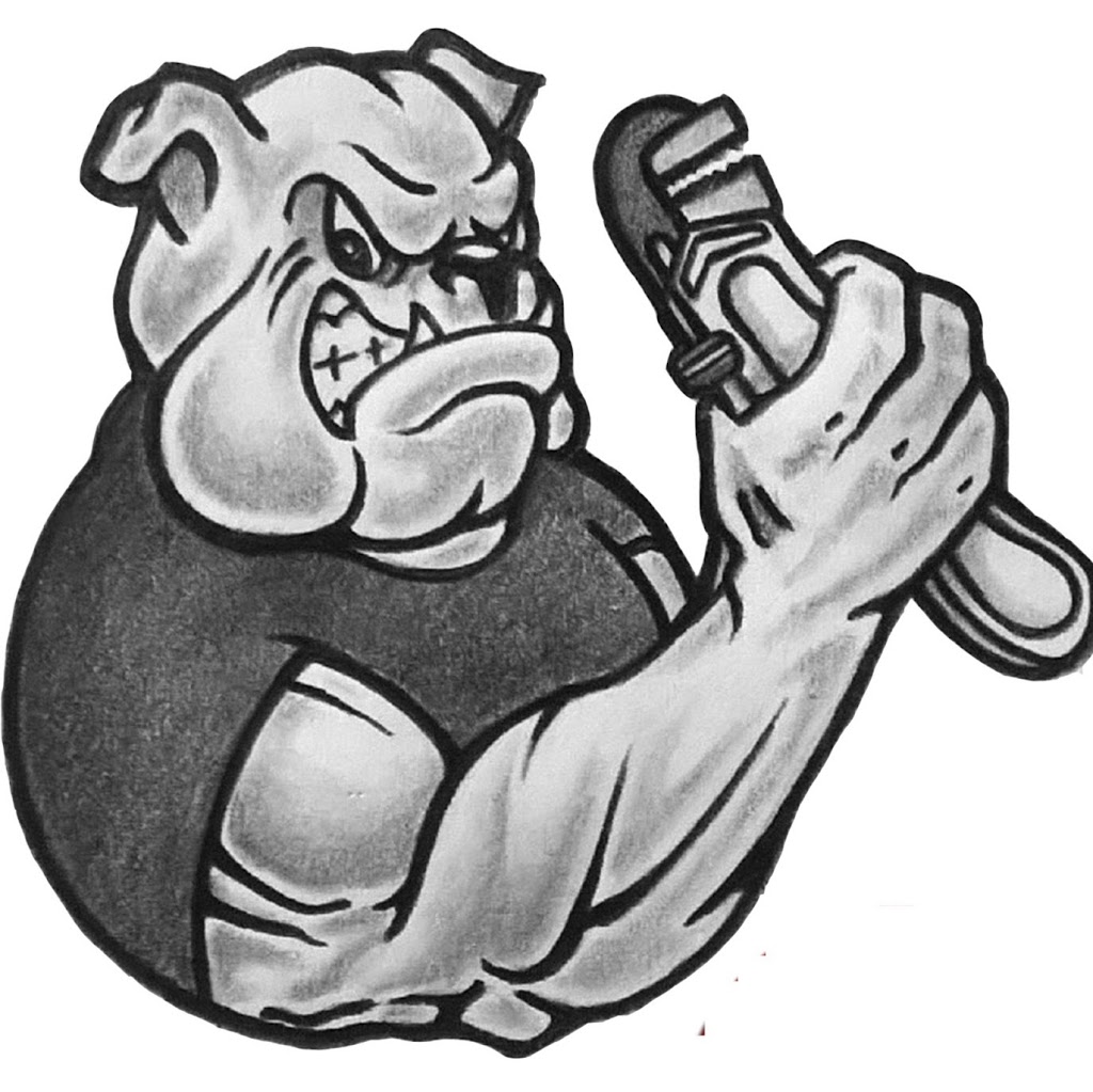 Big Dawg Plumbing & Backflow LLC | 4668 Wilson Dr, Hamburg, NY 14075, USA | Phone: (716) 249-2595