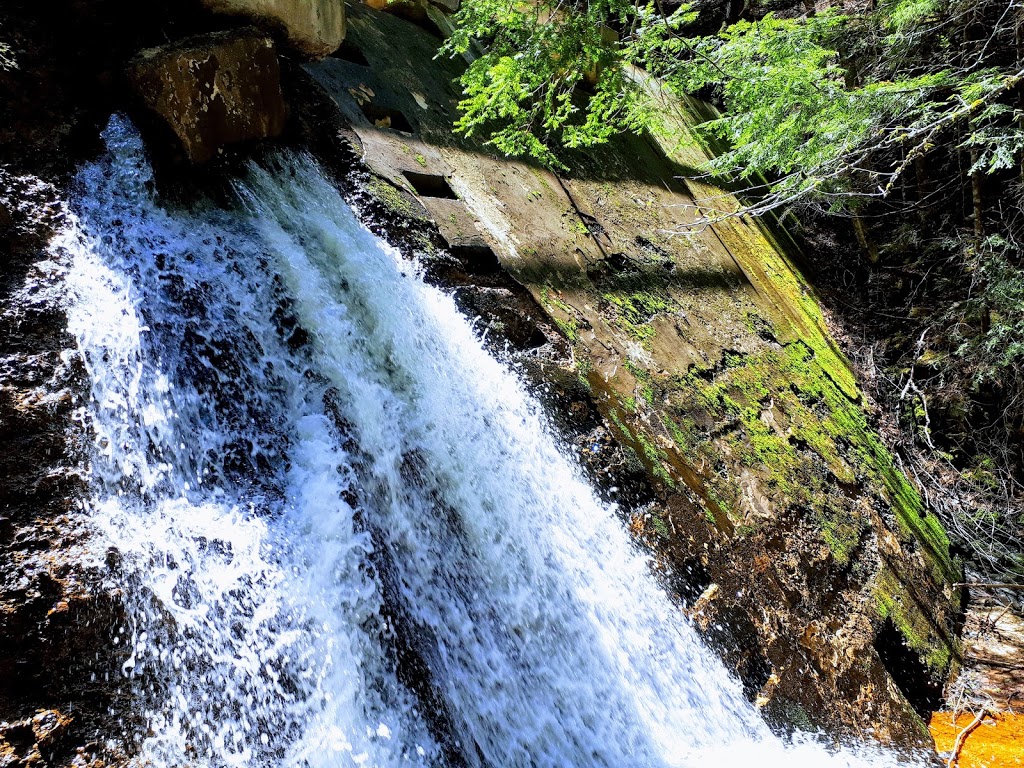 The Wolfville Watershed Nature Preserve | 1351 Forest Hill Rd, Wolfville, NS B4P 2R1, Canada | Phone: (902) 425-5263