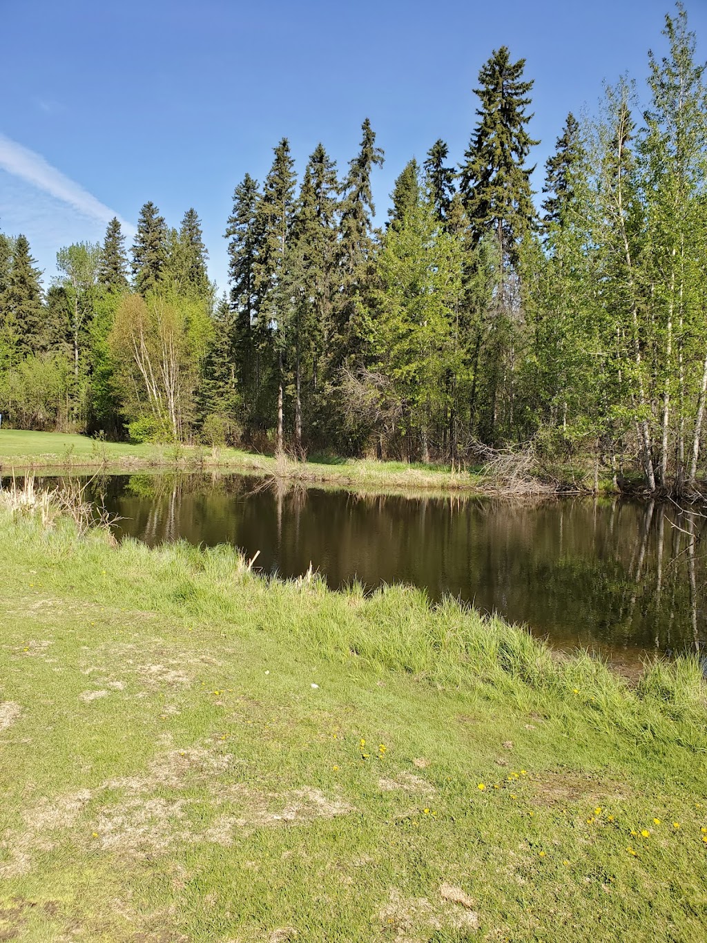 Dragons Head Par 3 Golf Club | 12240 199 St NW, Edmonton, AB T5V 1T8, Canada | Phone: (780) 944-4653