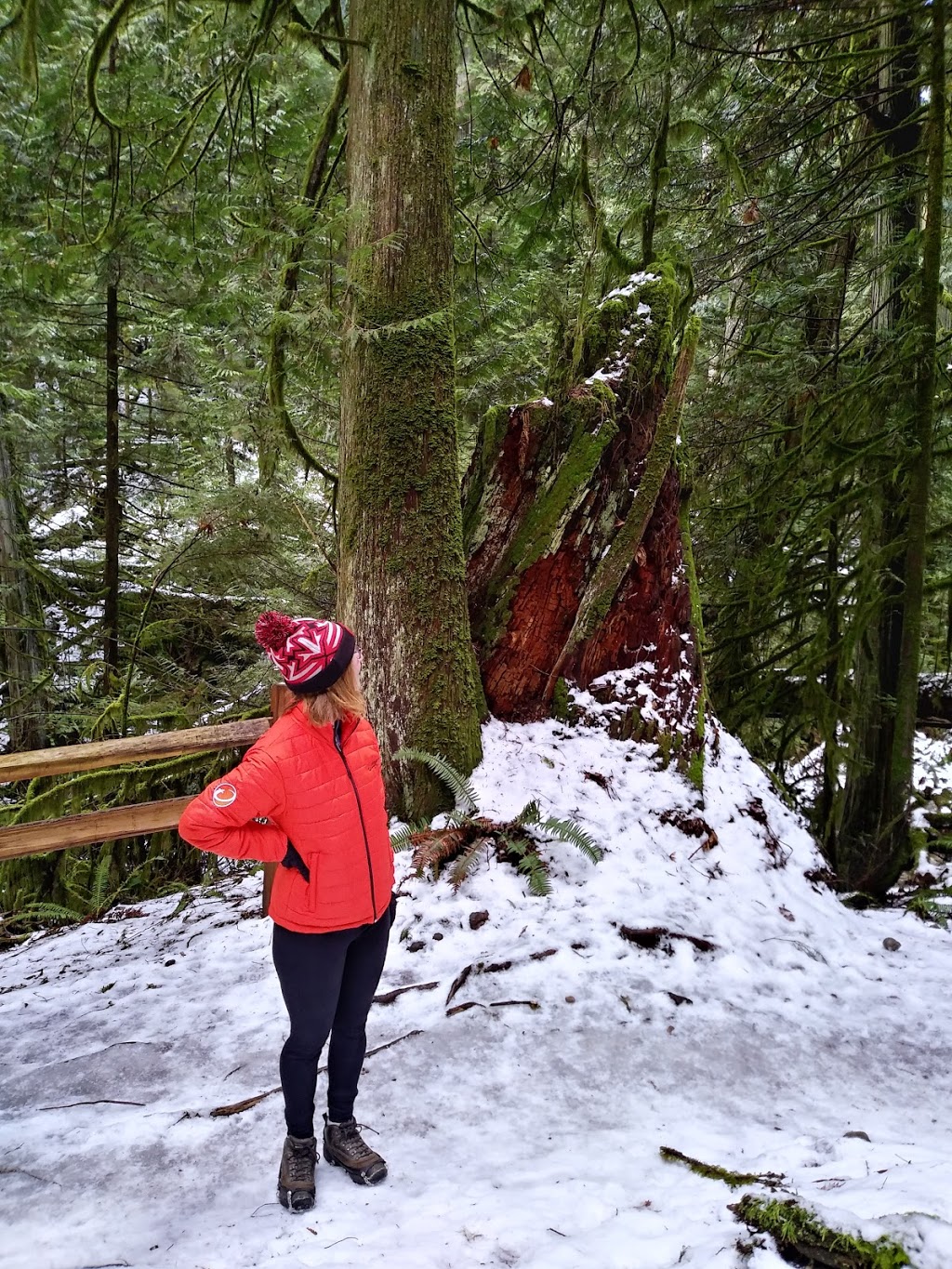 Whyte Lake Trail - Trailhead | 5647 Westport Rd, West Vancouver, BC V7W 1V2, Canada