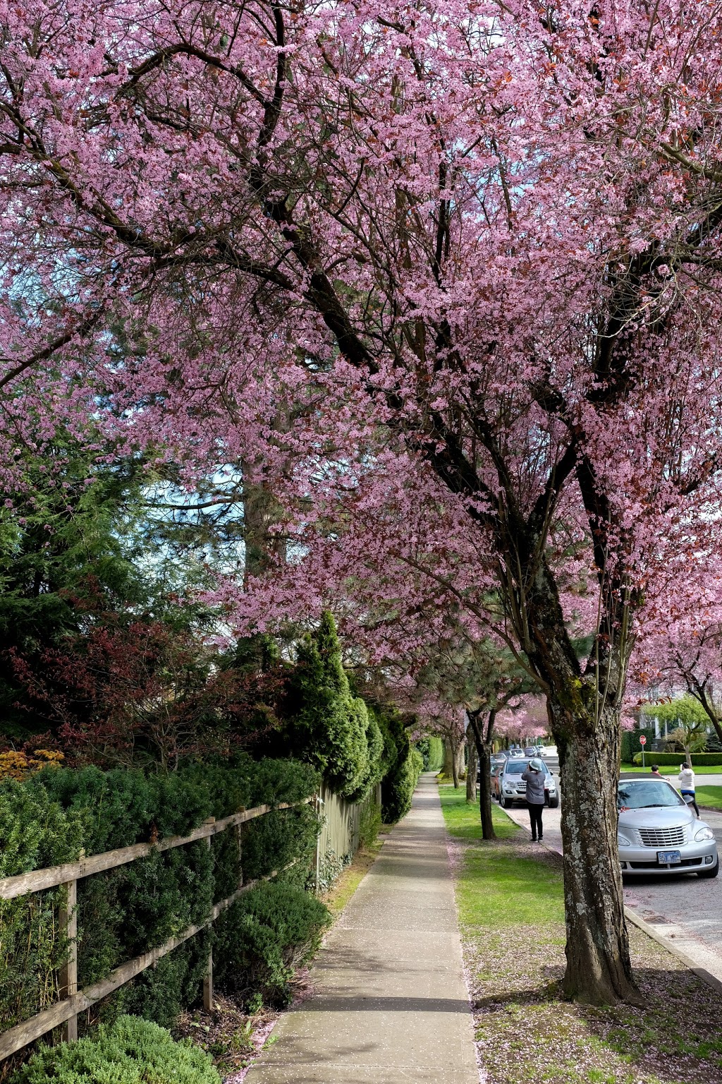 Valdez Park | 3210 W 22nd Ave, Vancouver, BC V6L 1N2, Canada
