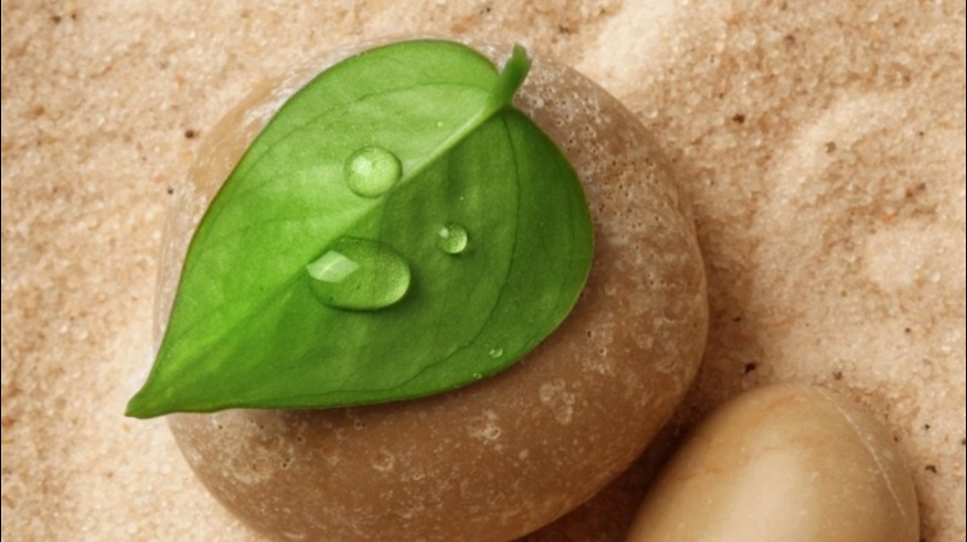 Lisa Purves Registered Massage Therapist | 9945 50 St NW, Edmonton, AB T6A 3X5, Canada | Phone: (780) 803-4596