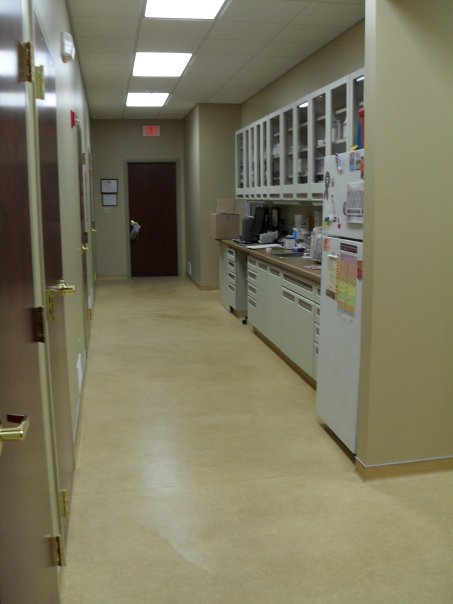 Elmwood Small Animal Hospital | 1606 Kenmore Ave, Buffalo, NY 14216, USA | Phone: (716) 876-6023