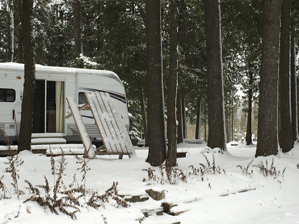 Cedar Pines RV Park | 403541, Grey County Rd 4, Priceville, ON N0C 1K0, Canada | Phone: (289) 339-0788