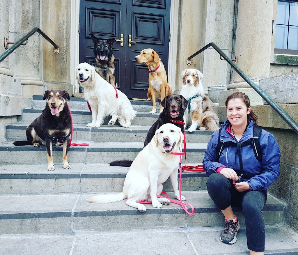 The Perfect Pack Dog Training & Walking Services | Linwell Rd, St. Catharines, ON L2N 6N5, Canada | Phone: (905) 941-1785