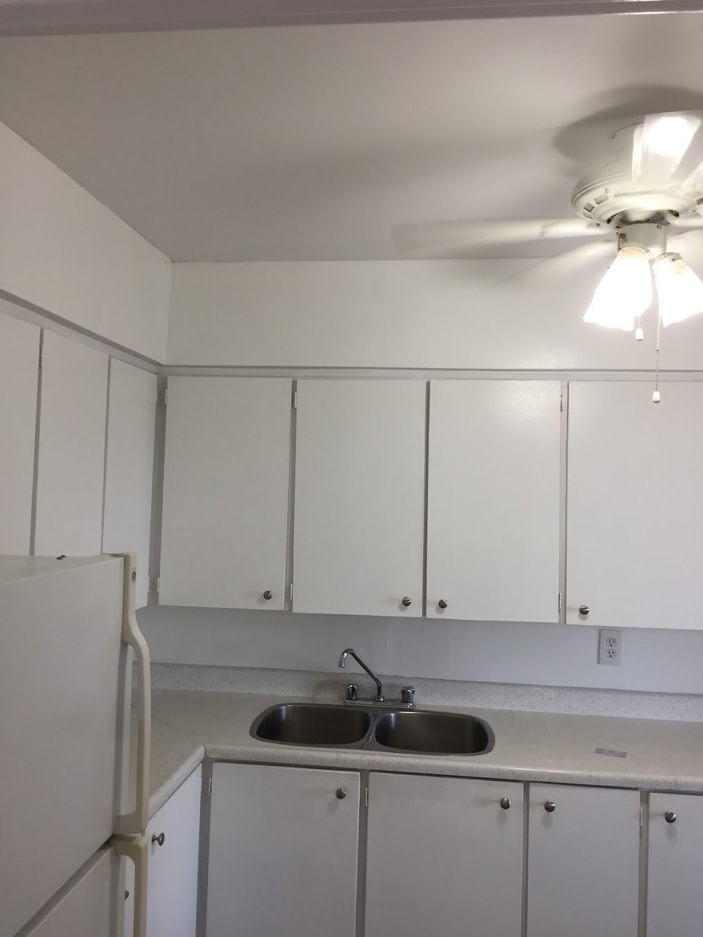 TrishaLillyCustomPainting | 14 Dublin St, Markham, ON L3P 1M7, Canada | Phone: (647) 904-2452