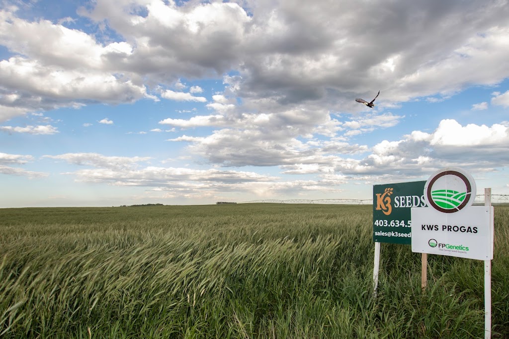 K3 Seeds | 110021, Range Road 20-3, Picture Butte, AB T0K 1V0, Canada | Phone: (403) 738-4517