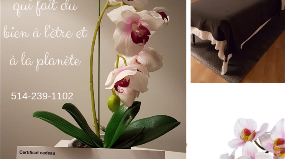 Massotherapie et Hypnotherapie Sylvie Bédard | 96 Boulevard Antonio-Barrette, Notre-Dame-des-Prairies, QC J6E 1E5, Canada | Phone: (514) 239-1102