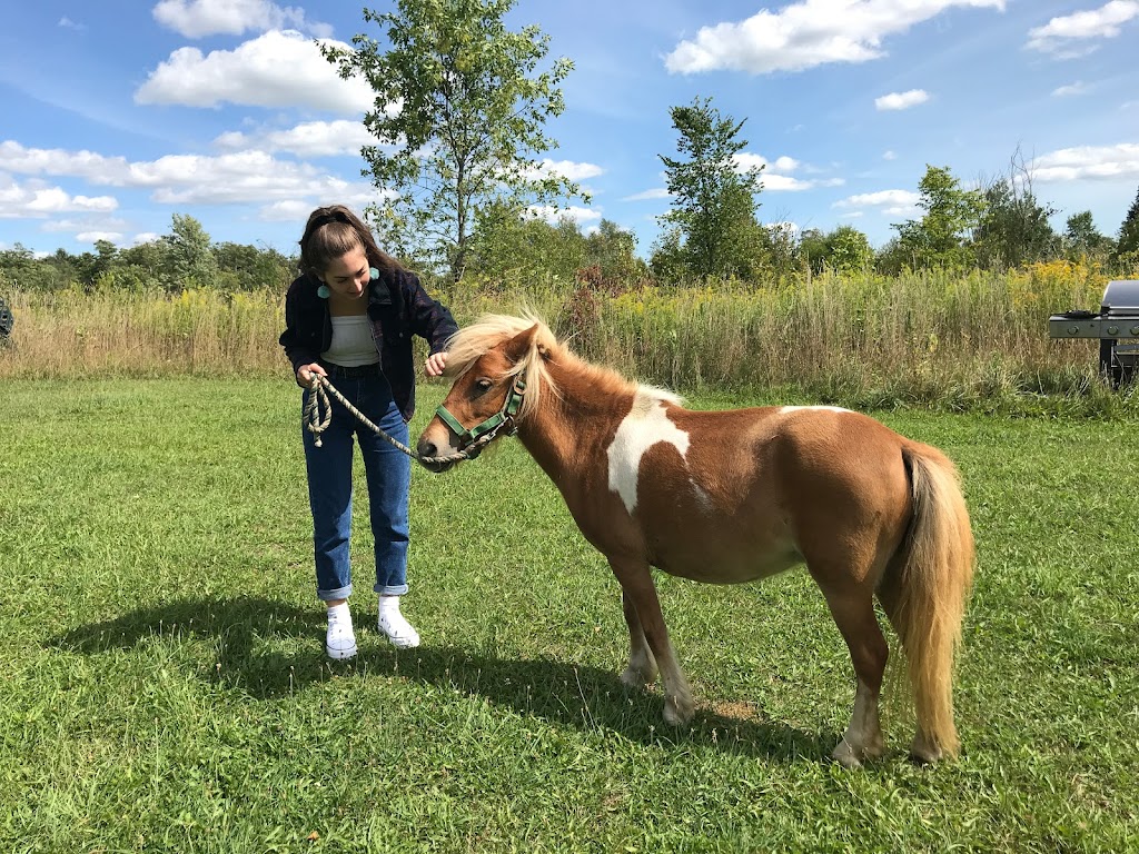 The Farmhouse on 135 Acres | 11355 Nassagaweya–Esquesing Townline, Halton Hills, ON L7J 2L7, Canada | Phone: (416) 527-3971