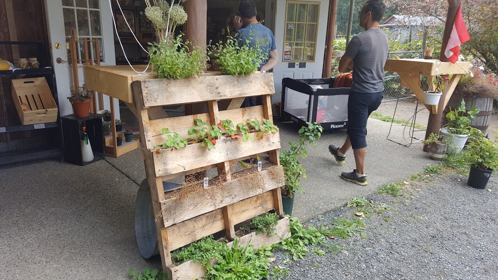 Unicorn Farm | 1430 Errington Rd, Errington, BC V0R 1V0, Canada | Phone: (250) 586-5411