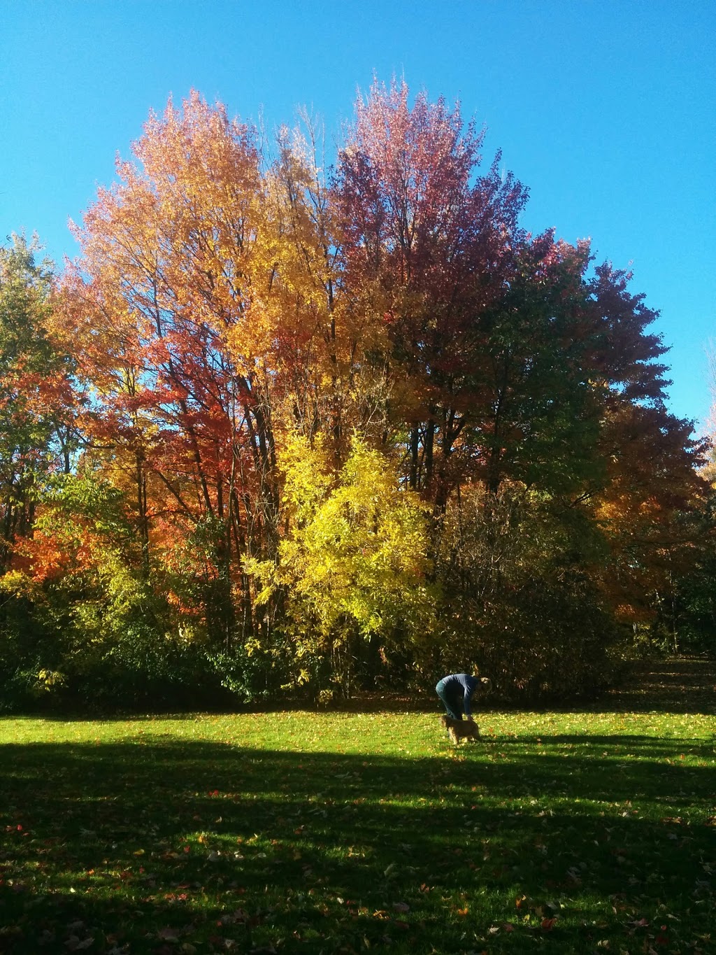 Youngs Pond Park | Katimavik - Hazeldean, Ottawa, ON K2L, Canada