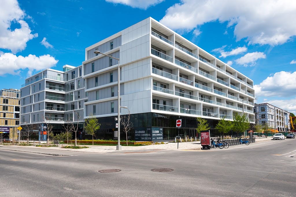 Xceeed Corporation | 1250 Ave.Thérèse-Lavoie-Roux #309, Montréal, QC H2V 0B2, Canada | Phone: (877) 878-7697
