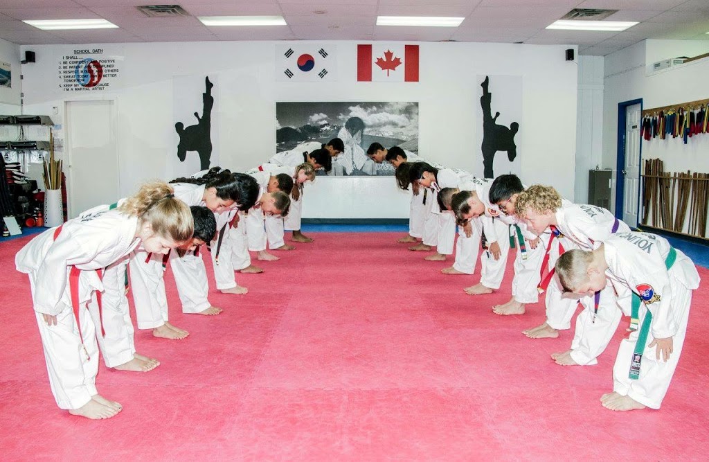 Young Park Martial Arts | 1004 Upper Wentworth St, Hamilton, ON L9A 4V9, Canada | Phone: (905) 387-5425