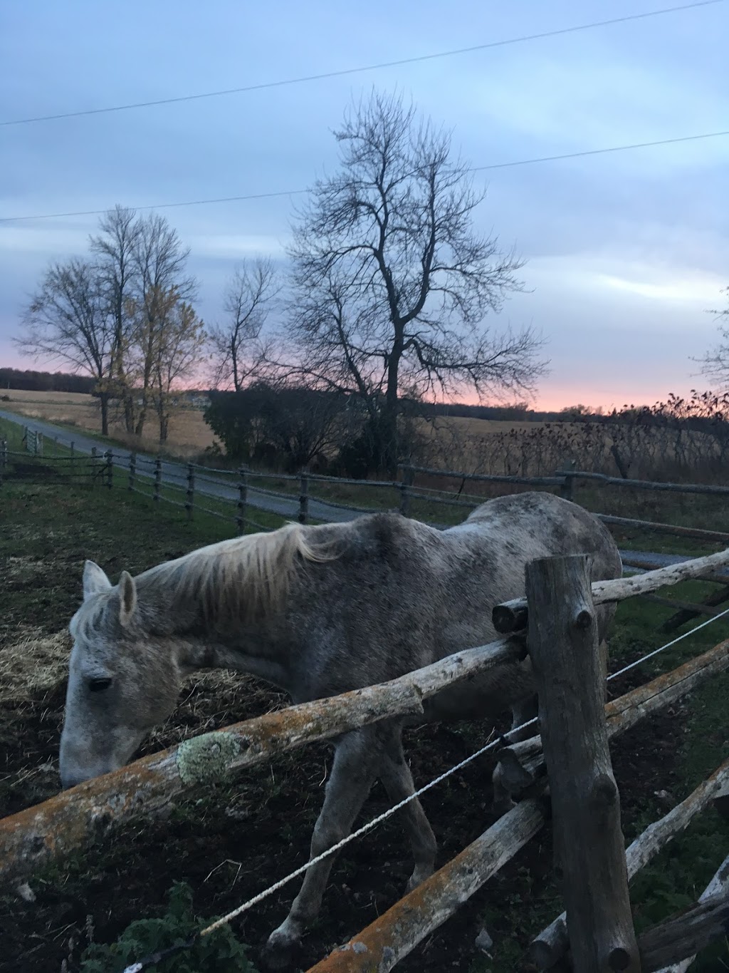 Willowbrae Farm B&B | 4490 County Road 8 W, Greater Napanee, ON K7R 3K7, Canada | Phone: (613) 373-9792
