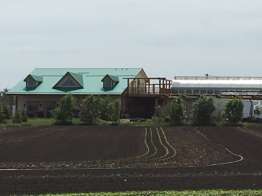 Peas On Earth Certified | 24527 Sturgeon Rd, Alberta T8T 1S2, Canada | Phone: (780) 973-6680