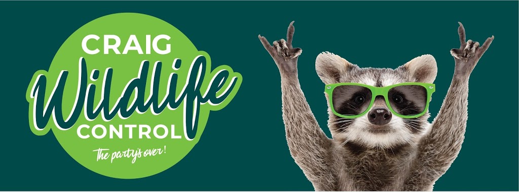 Craig Wildlife Control | 69 Lake Shore Dr #3, Etobicoke, ON M8V 1Z5, Canada | Phone: (416) 574-6356