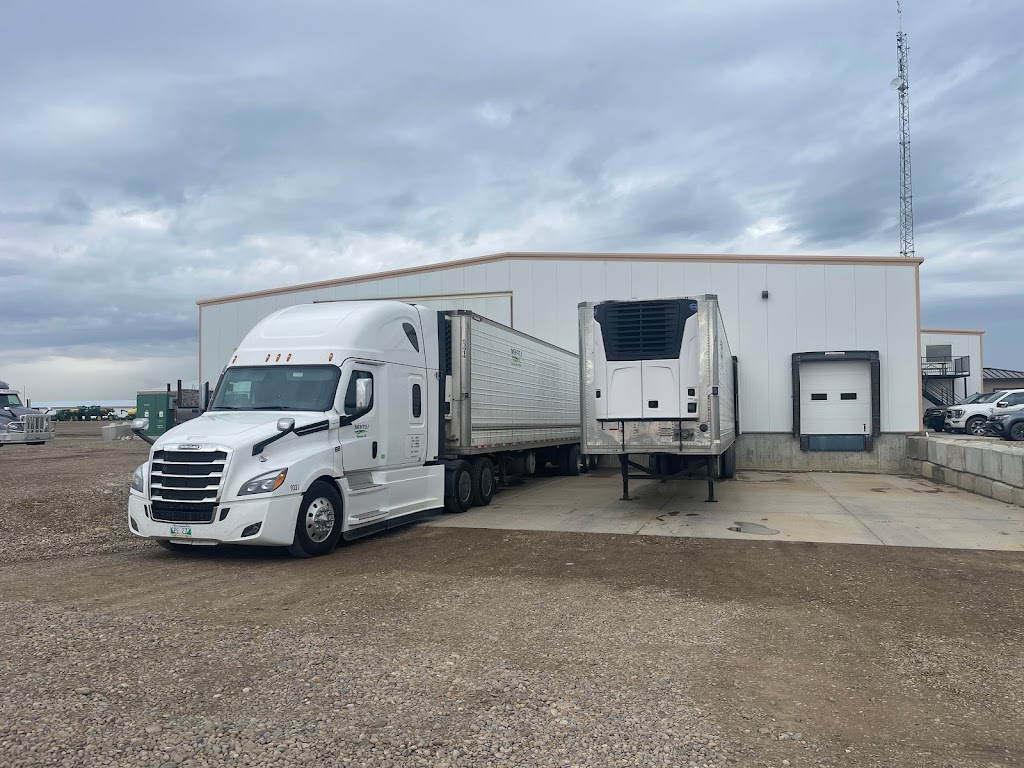 Gouw Quality Onions | 100044, Range Rd 161, Taber, AB T1G 1X4, Canada | Phone: (403) 223-1440