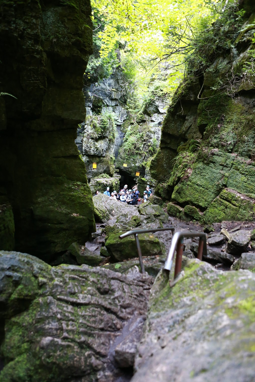 Scenic Caves Nature Adventures | 260 Scenic Caves Rd, The Blue Mountains, ON L9Y 0P2, Canada | Phone: (705) 446-0256