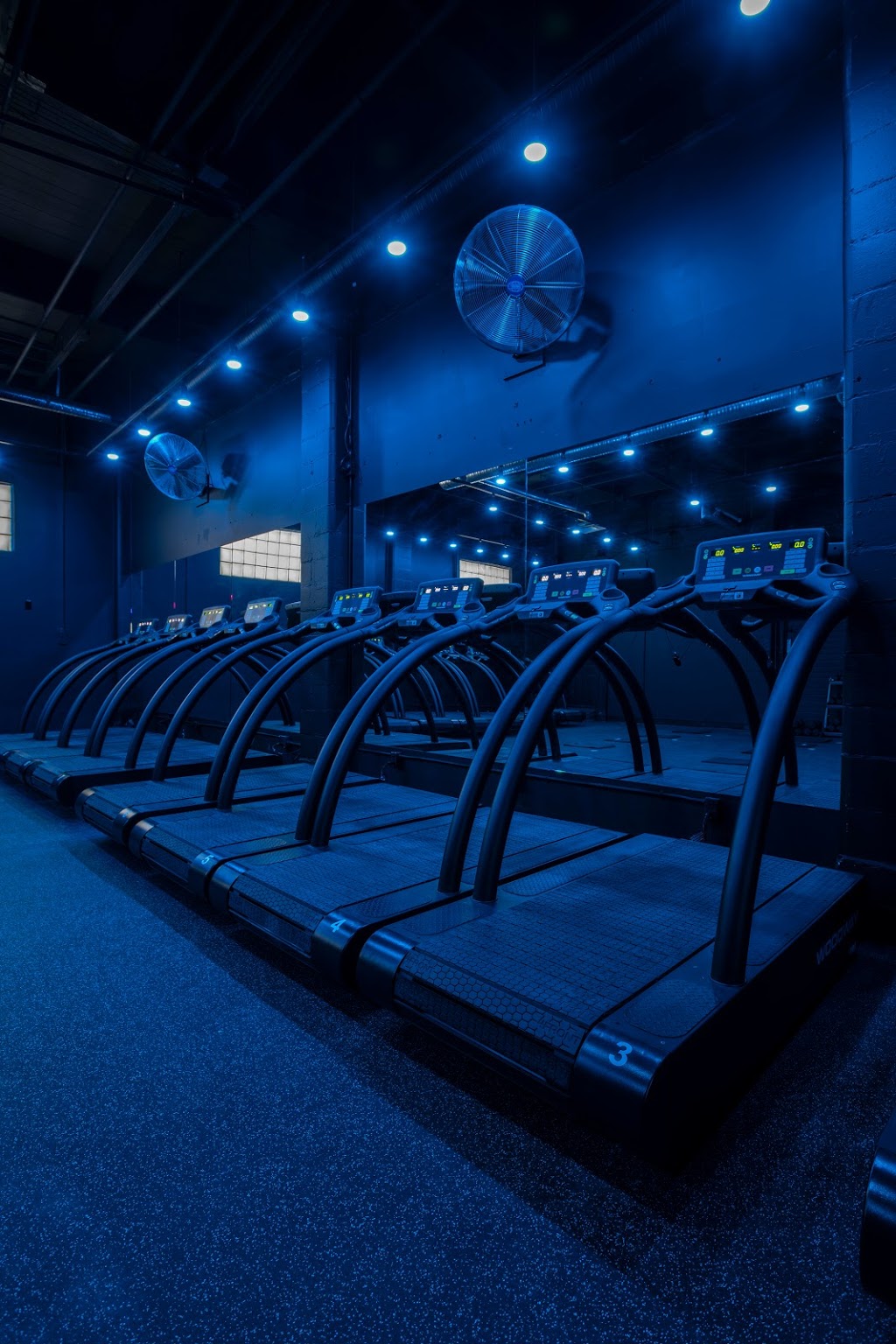 Runaway Workout Club | gym | 7371 104 St NW, Edmonton, AB T6E 4B9, Canada | 5876352409 OR +1 587-635-2409