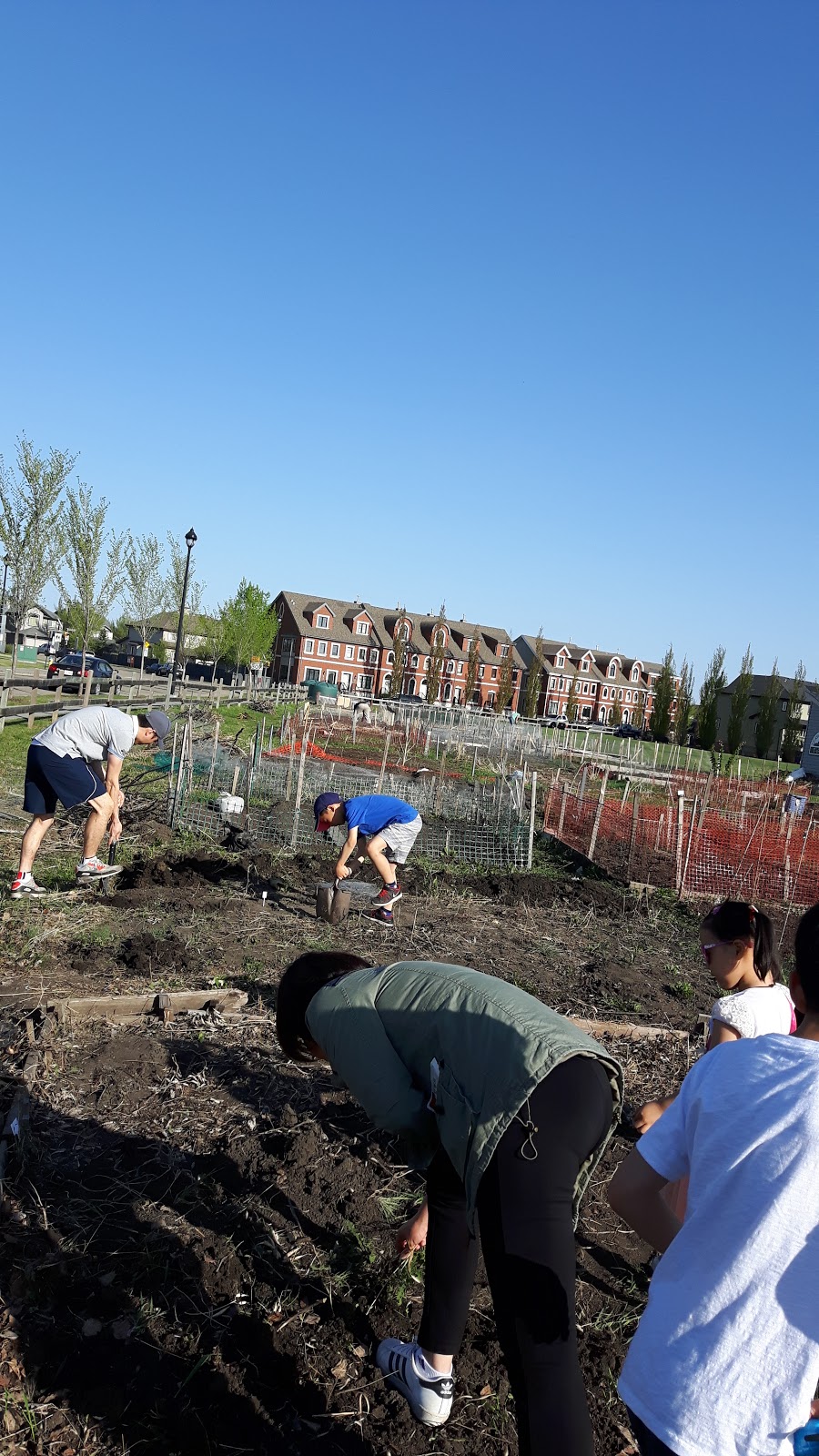 Terwillegar Towne Community Garden | Terwillegar Common NW, Edmonton, AB T6R, Canada