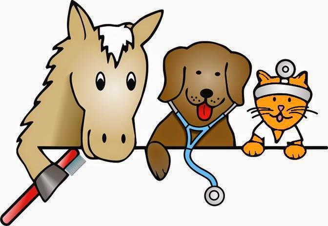 Wadhams Road Animal Care Center | 635 Wadhams Rd, Kimball, MI 48074, USA | Phone: (810) 367-6115